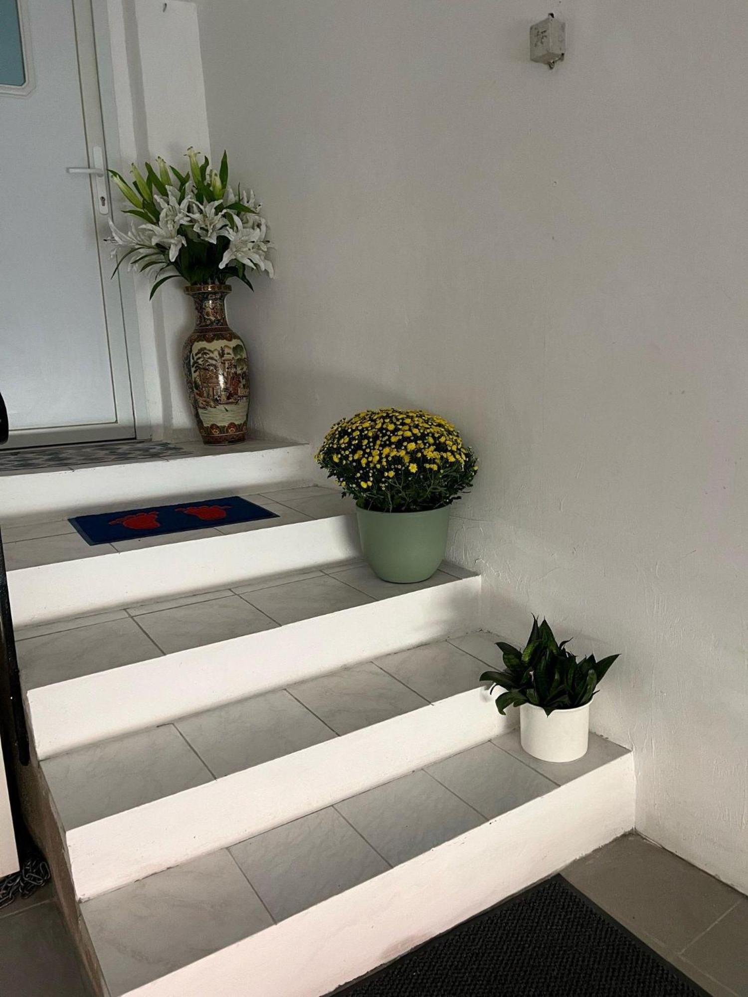 Linh'S Ferienwohnung 萨尔堡 外观 照片
